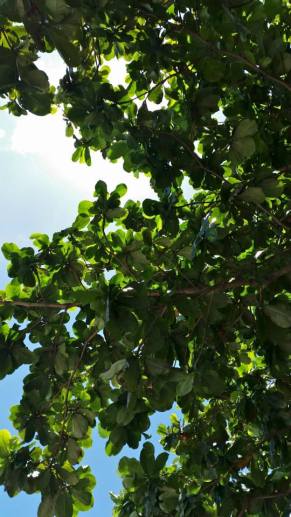 10537112_10152620028460100_1724935739137654069_n