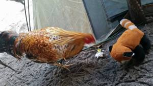 10606483_10152620028215100_2033357470714030693_n