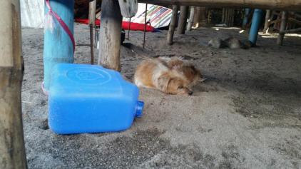 10614332_10152620028425100_3431457890061434697_n