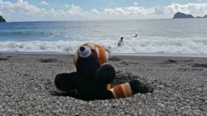 10615960_10152620028615100_8620636643340621933_n