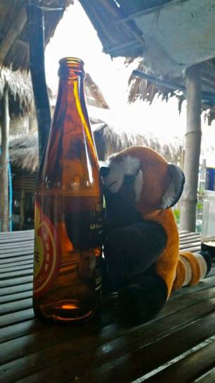 10646739_10152620027905100_7487769144401197722_n