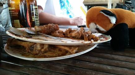 10649732_10152620027295100_4976628719858986119_n