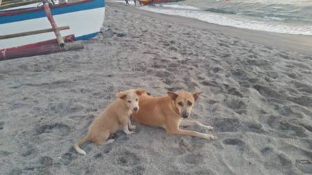 10653611_10152620029940100_8437810046281984303_n