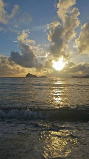 10670011_10152620029665100_2826478018485003867_n