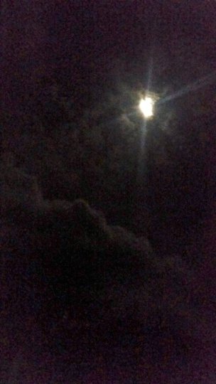 10701981_10152620027740100_6560572869057449042_n